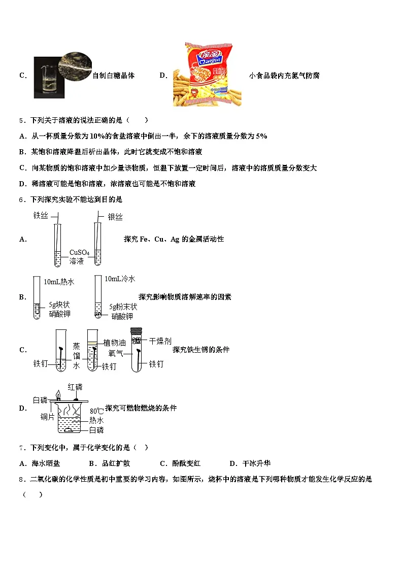 西藏自治区林芝市2025-2026学年中考化学最后冲刺浓缩精华卷(含答案解析)第2页