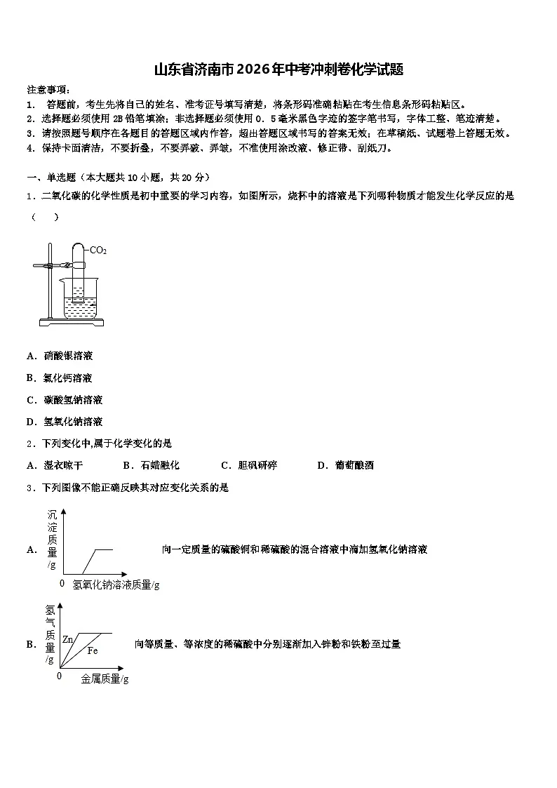 山东省济南市2026年中考冲刺卷化学试题(含答案解析)第1页