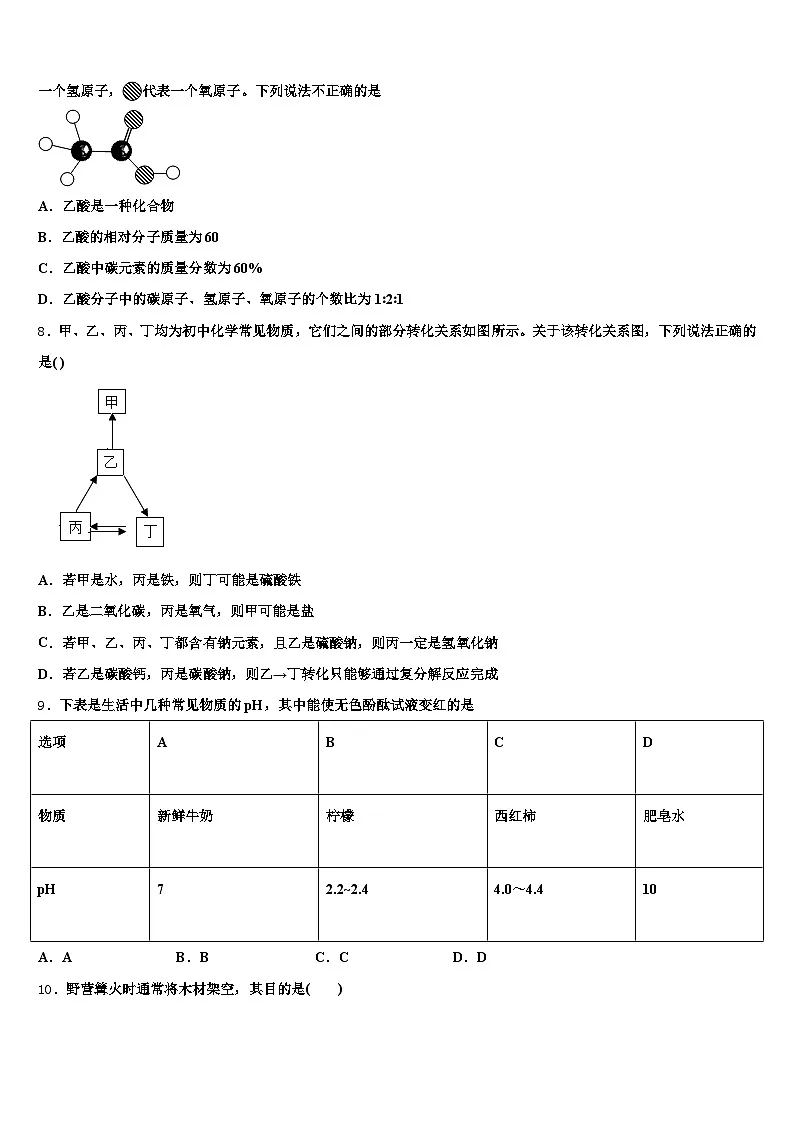山东省济南市2026年中考冲刺卷化学试题(含答案解析)第3页