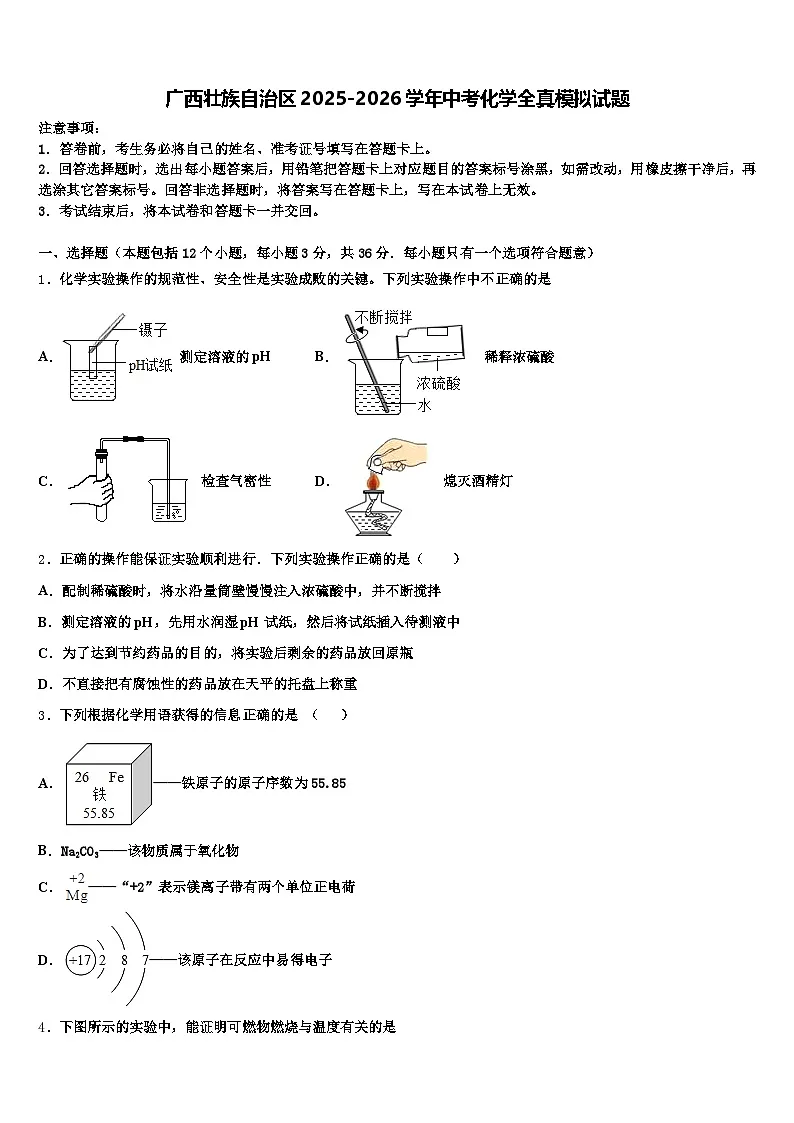 广西壮族自治区2025-2026学年中考化学全真模拟试题(含答案解析)第1页