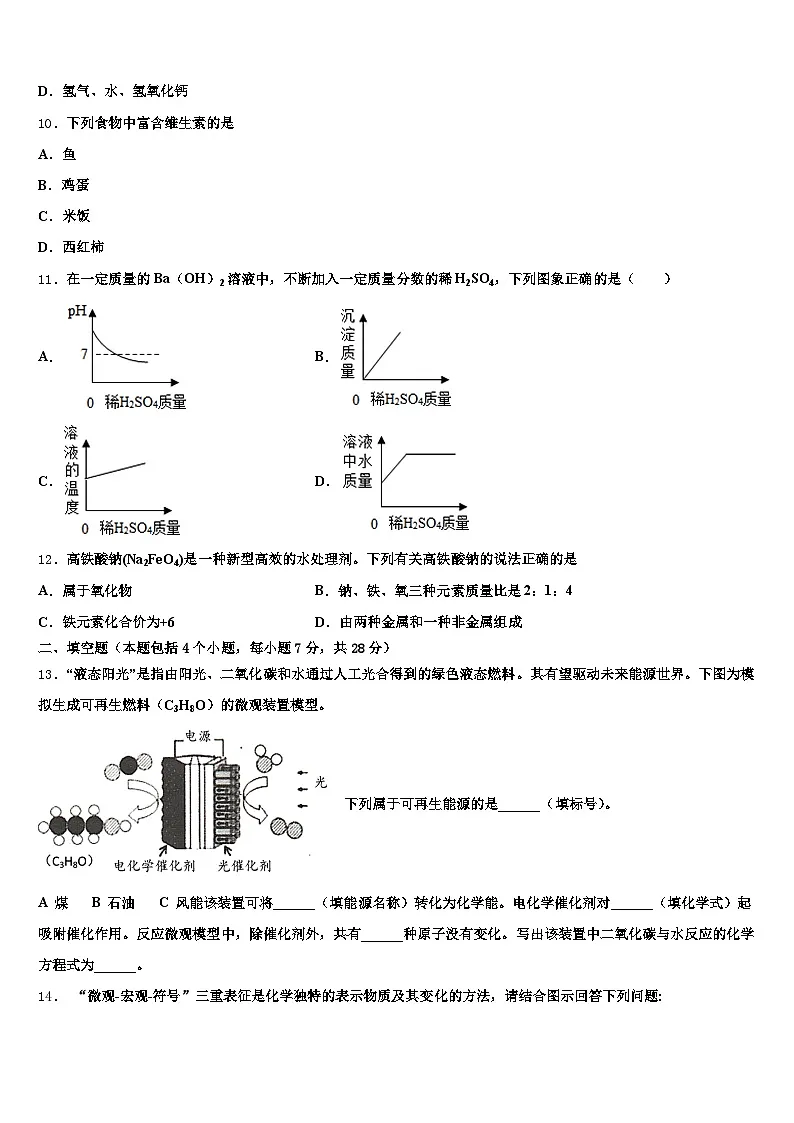 广西壮族自治区2025-2026学年中考化学全真模拟试题(含答案解析)第3页