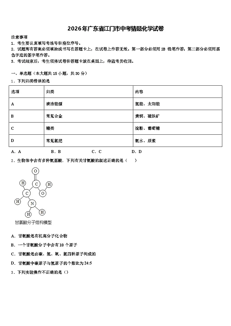 2026年广东省江门市中考猜题化学试卷(含答案解析)第1页