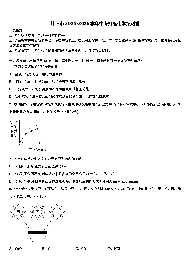 蚌埠市2025-2026学年中考押题化学预测卷(含答案解析)第1页