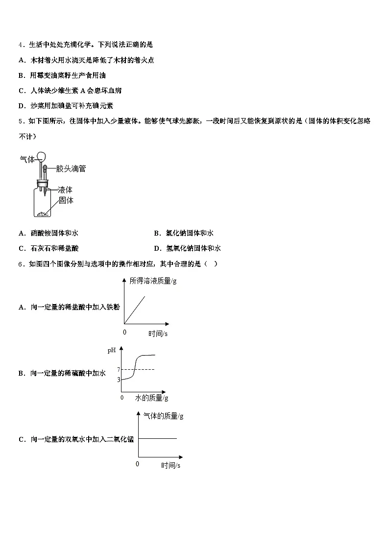 蚌埠市2025-2026学年中考押题化学预测卷(含答案解析)第2页
