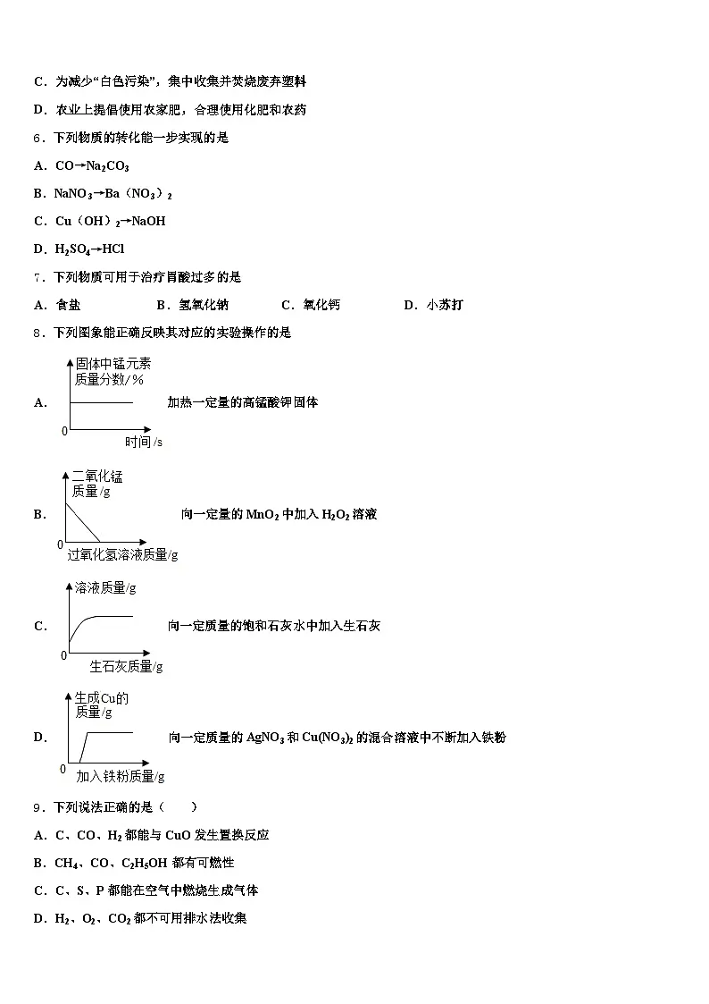 湛江市2025-2026学年中考化学押题试卷(含答案解析)第2页