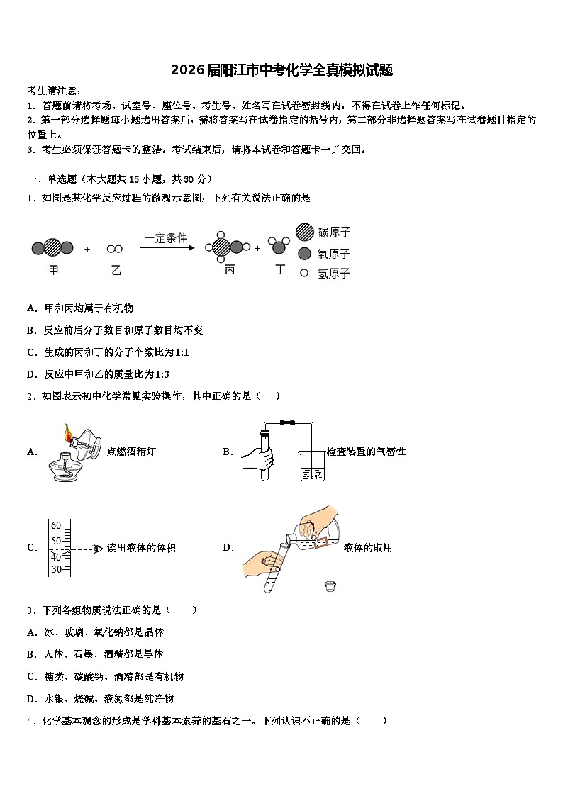 2026届阳江市中考化学全真模拟试题(含答案解析)第1页