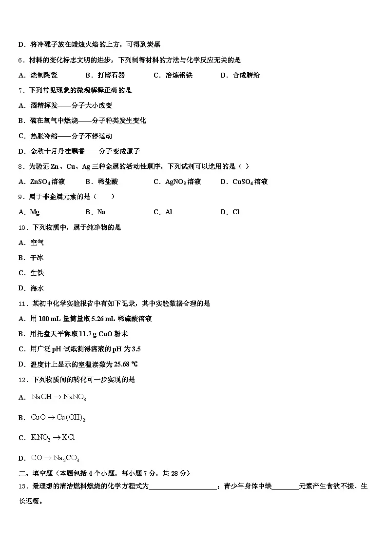 湖南省益阳市2025-2026学年中考化学最后冲刺模拟试卷(含答案解析)第2页