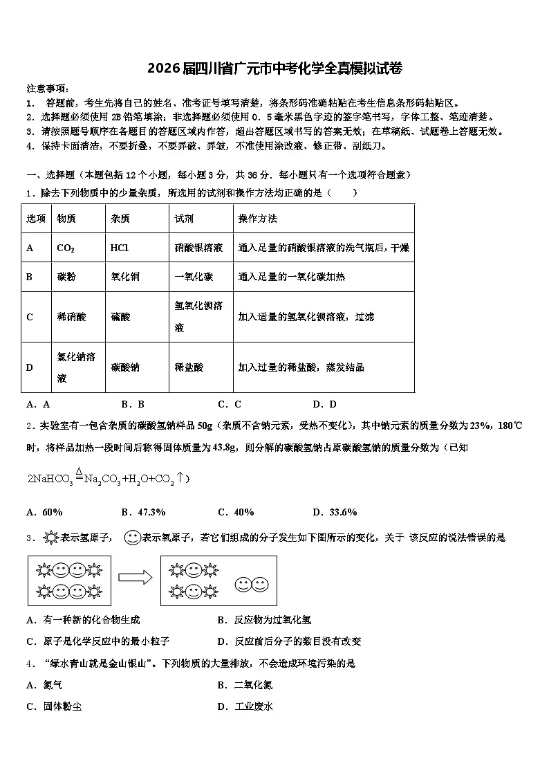 2026届四川省广元市中考化学全真模拟试卷(含答案解析)第1页