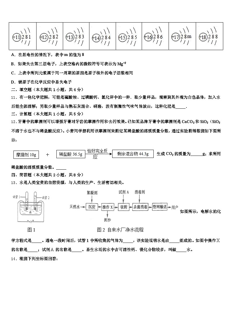 衡水市2025-2026学年中考化学最后一模试卷(含答案解析)第3页