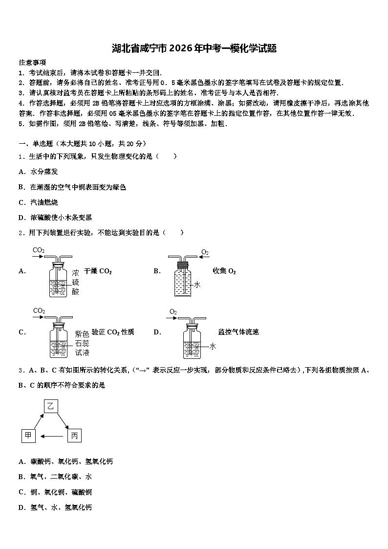湖北省咸宁市2026年中考一模化学试题(含答案解析)第1页