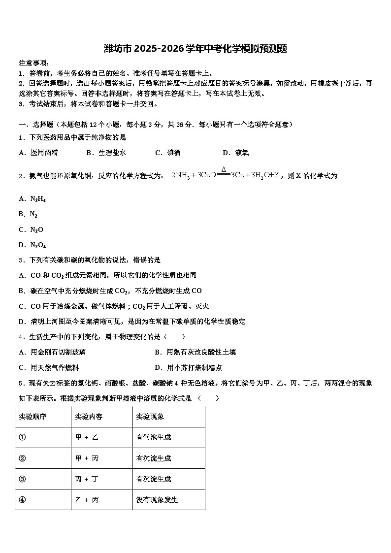 潍坊市2025-2026学年中考化学模拟预测题(含答案解析)第1页