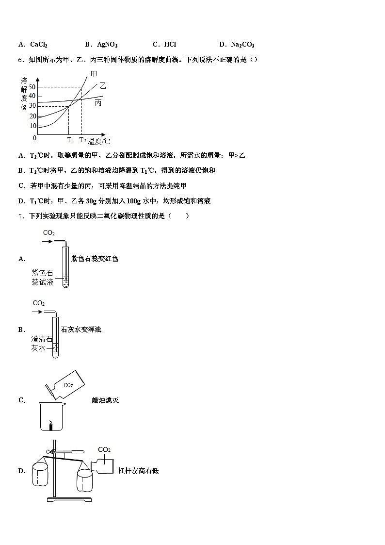 潍坊市2025-2026学年中考化学模拟预测题(含答案解析)第2页