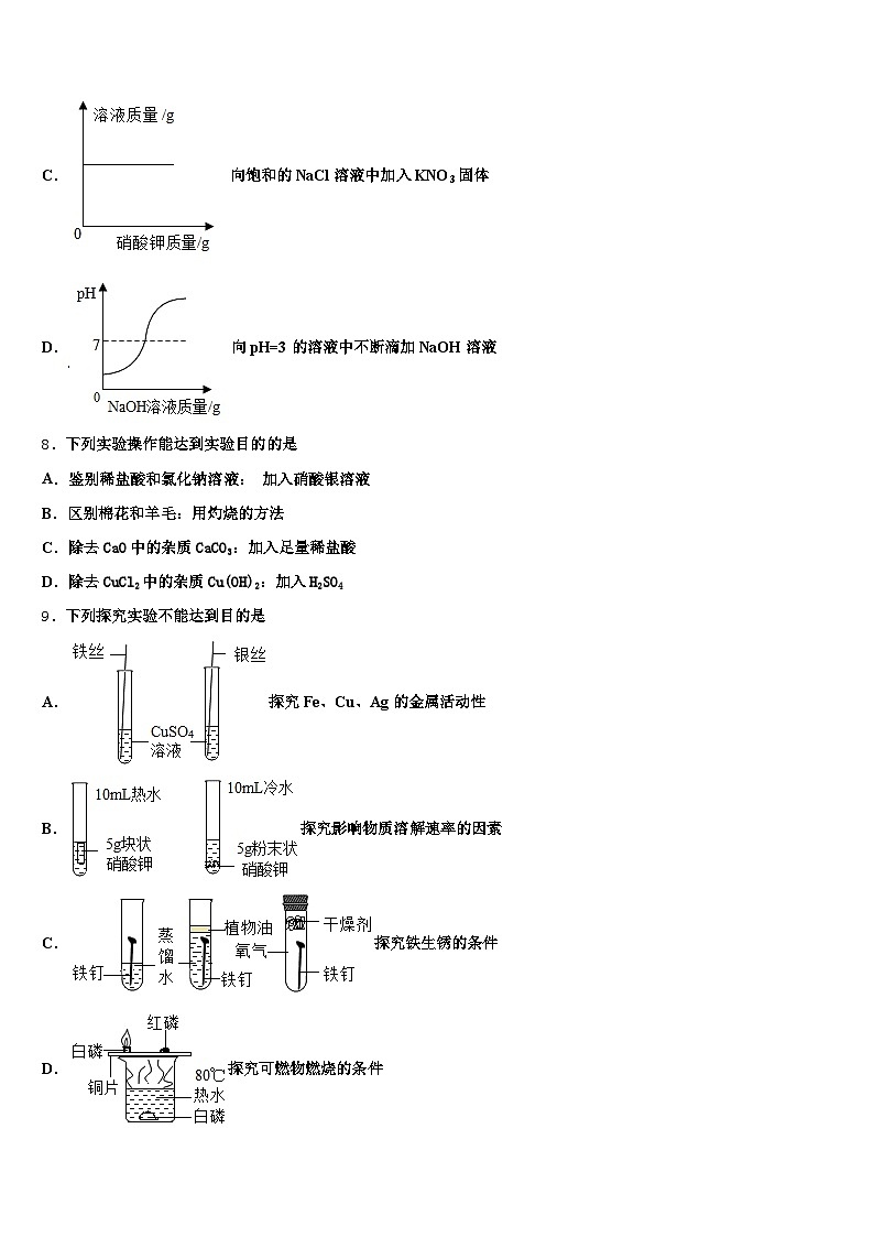 广东省2026年中考四模化学试题(含答案解析)第3页