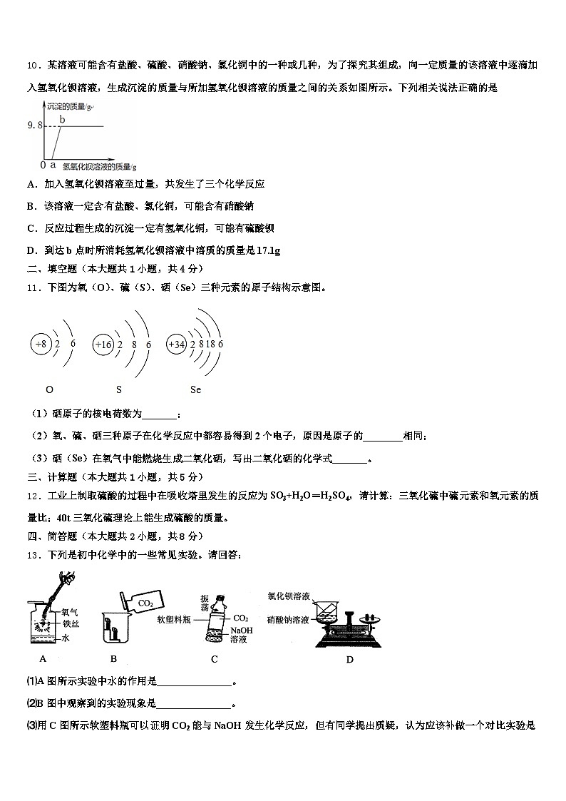 四川省资阳市2026年中考化学押题试卷(含答案解析)第3页
