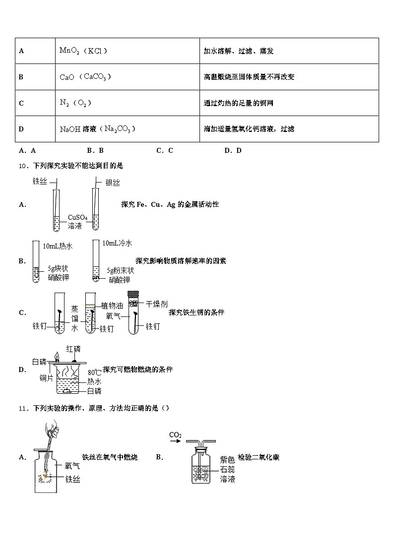 西藏自治区2025-2026学年中考化学对点突破模拟试卷(含答案解析)第3页