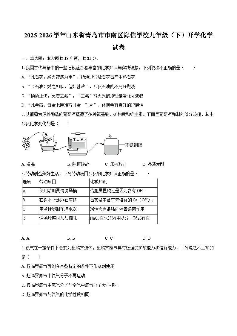 2025-2026学年山东省青岛市市南区海信学校九年级(下)开学化学试卷-自定义类型第1页