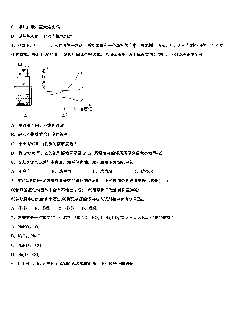海口市2026年中考化学考试模拟冲刺卷(含答案解析)第2页