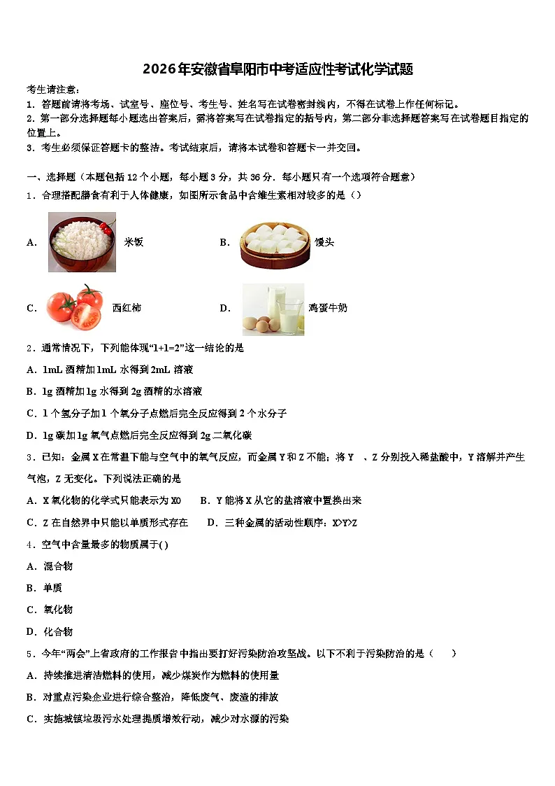 2026年安徽省阜阳市中考适应性考试化学试题(含答案解析)第1页