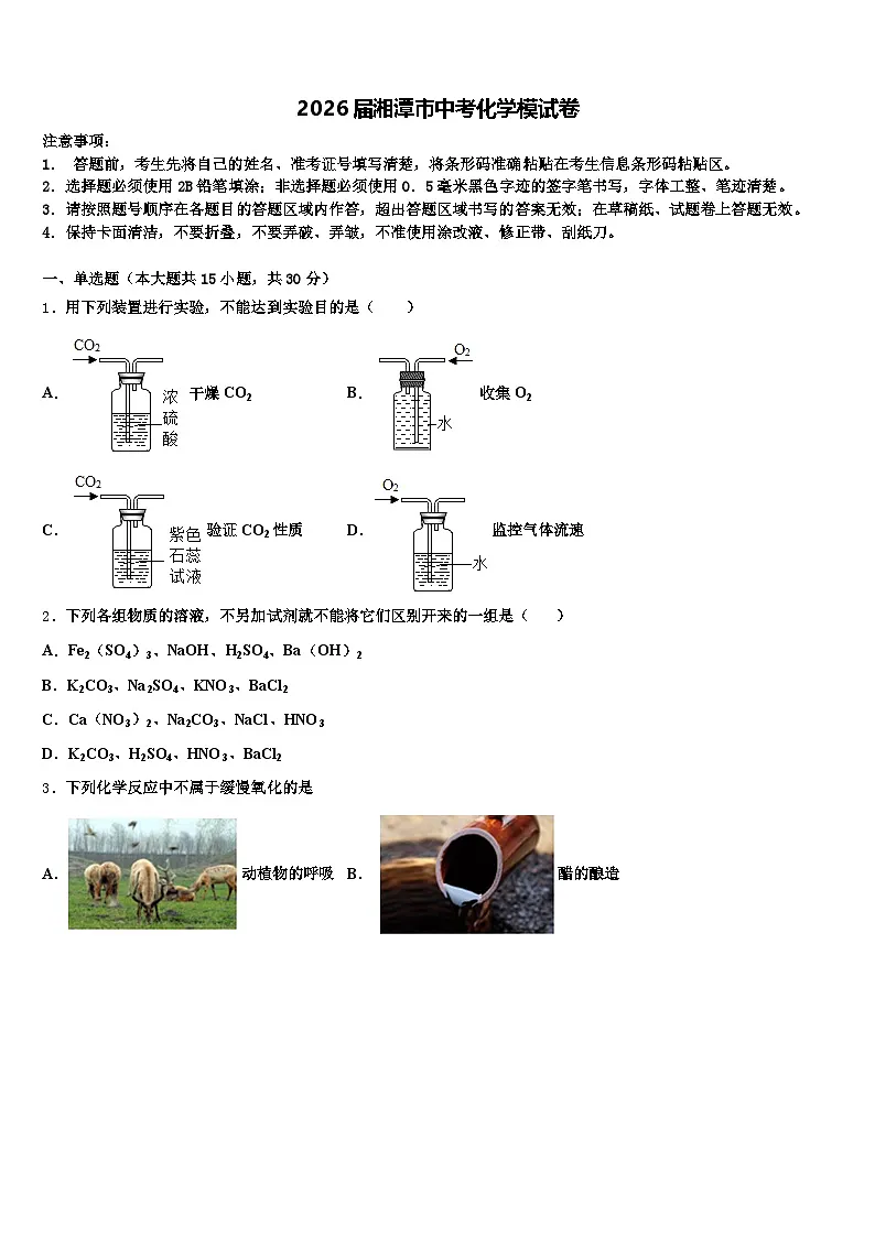 2026届湘潭市中考化学模试卷(含答案解析)第1页