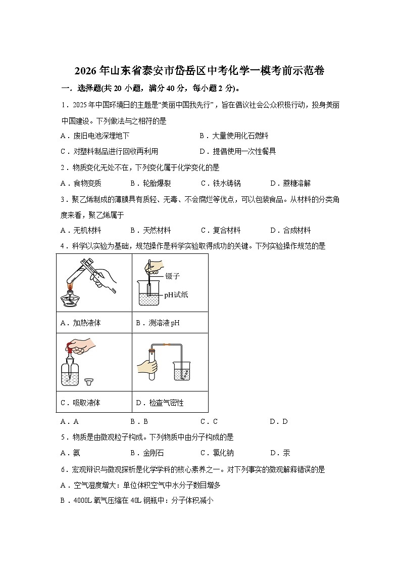 2026年山东省泰安市岱岳区中考化学一模考前示范卷(3)含答案第1页