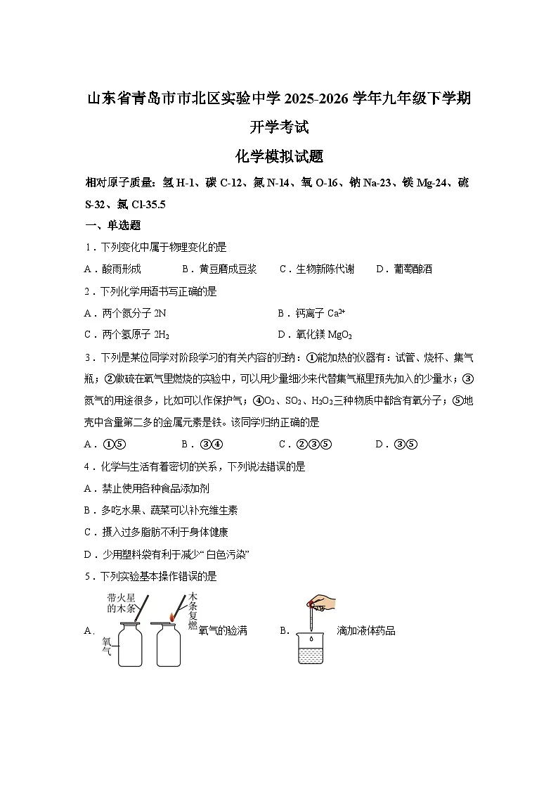 山东青岛市市北区实验中学2025-2026学年九年级下学期开学考试化学模拟试题含答案第1页