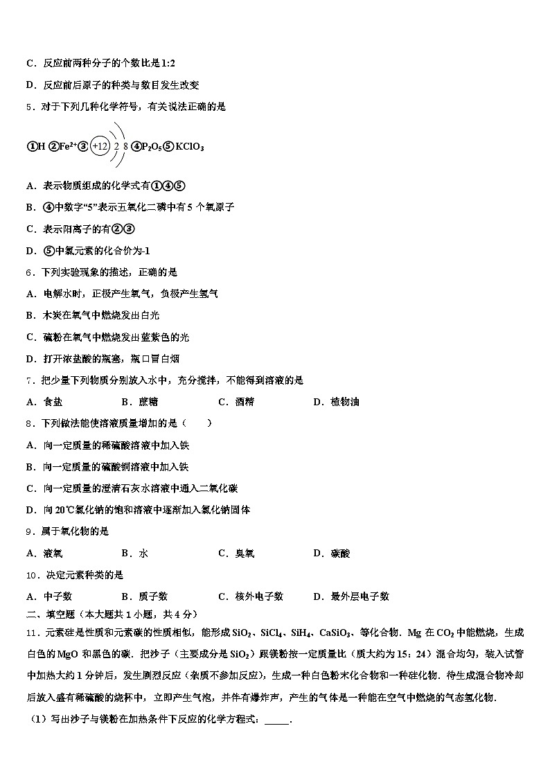 广东省中山市2026年中考二模化学试题(含答案解析)第2页