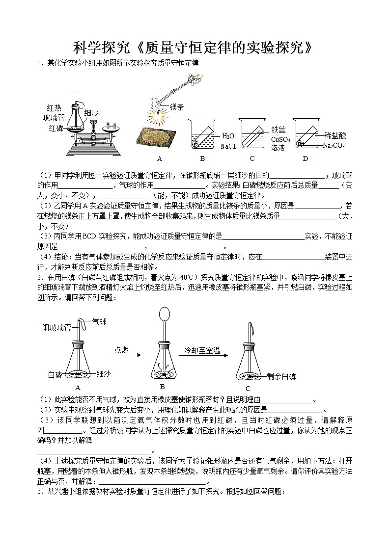 2020年中考人教版化学科学探究《质量守恒定律的实验探究》专题练习01