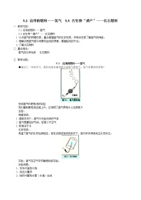 初中化學(xué)粵教版九年級(jí)上冊(cè)第五章 燃料5.1 潔凈的燃料——?dú)錃饨虒W(xué)設(shè)計(jì)