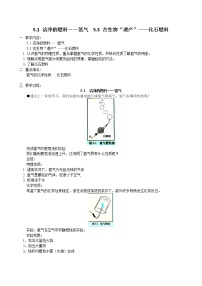 初中化学粤教版九年级上册第五章 燃料5.1 洁净的燃料——氢气教学设计