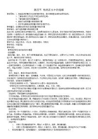 鲁教版九年级上册第四节 元素教学设计