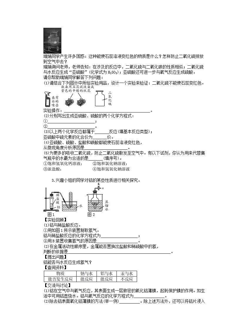 2021年中考化学二轮复习专题9《有关物质性质的探究》精练题(含答案)02