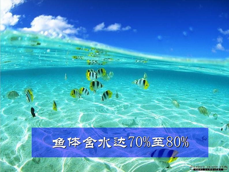 人教版九年级上册化学 4.3 水的组成 课件04