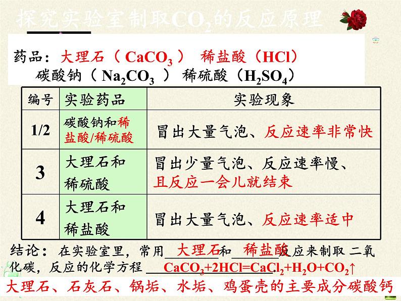 人教版九年级上册 化学 课件 6.2二氧化碳制取的研究第5页