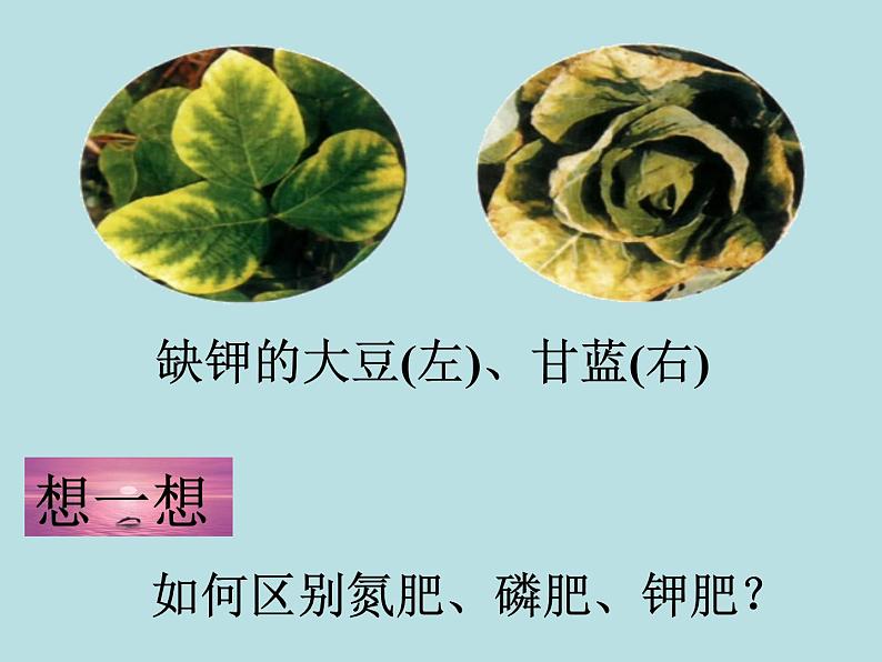 人教版初中化学九下11.2 化学肥料 课件 (3)07