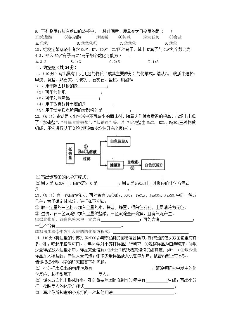 人教版九年级下化学第十一单元  盐 化肥 单元测试题B卷含答案02