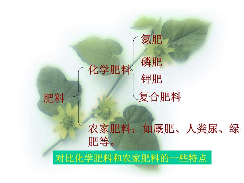 化学肥料(公开课)07