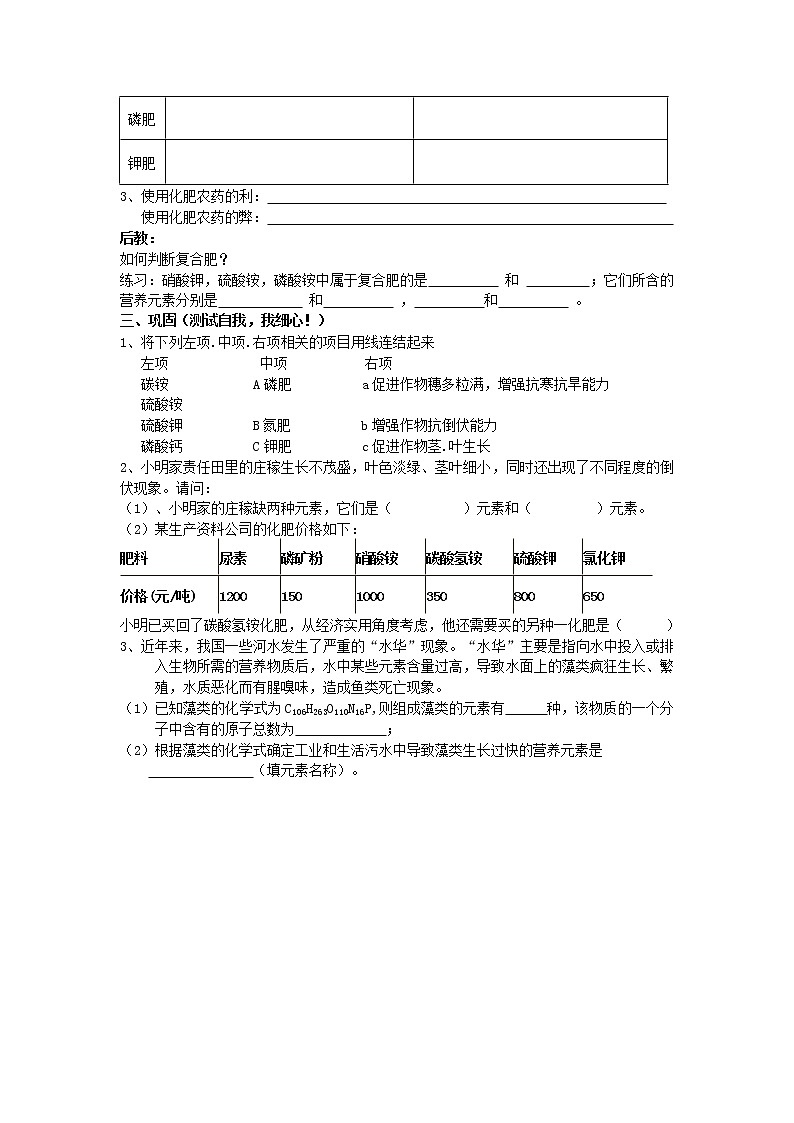 人教版化学课题2 化学肥料教学案02