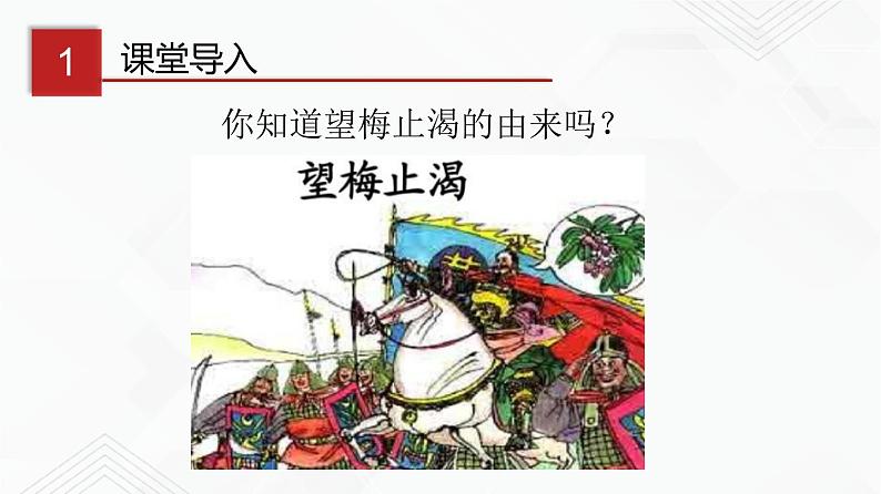 鲁教版九年级化学下册 常见的酸 课件PPT+练习题(原卷及解析卷)03