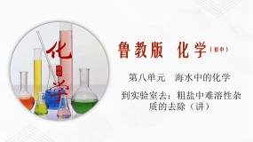 鲁教版九年级下册到实验室去：粗盐中难溶性杂质的去除完美版练习题习题课件ppt