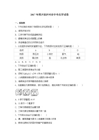 2017年四川省泸州市中考化学试卷+（解析版）