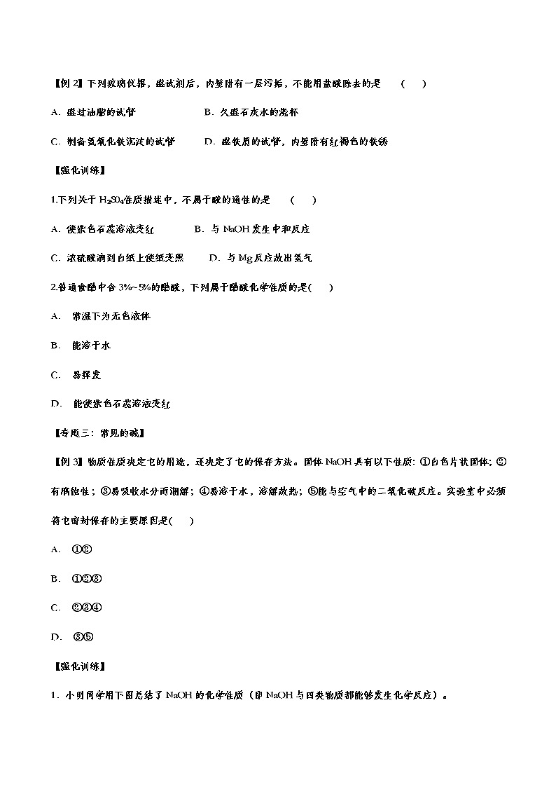 备战2021中考化学重点知识强化训练 专题十 酸和碱02