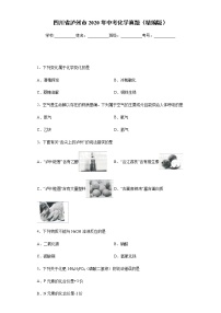 四川省泸州市2020年中考化学真题含答案解析