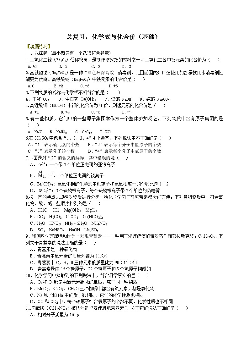 中考化学总复习:物质组成的表示——化学式与化合价(基础)练习 (含解析)01