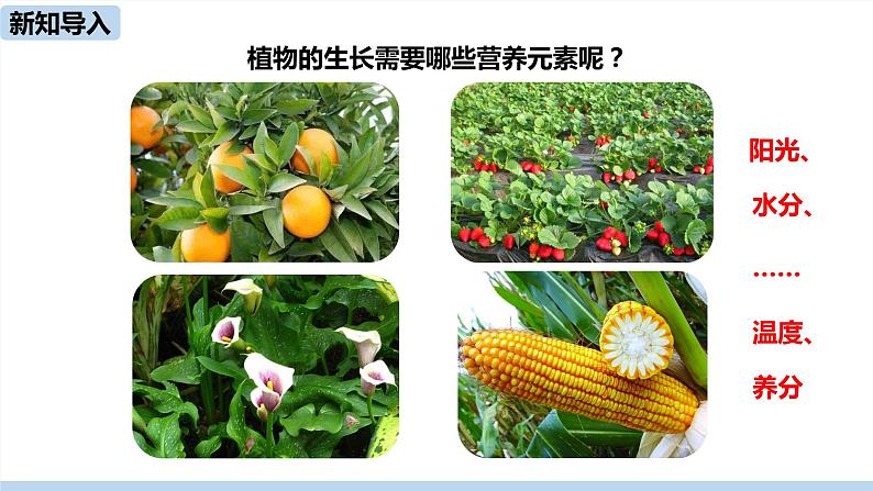 人教版化学九年级下册 11.2 化学肥料(PPT课件+素材)03