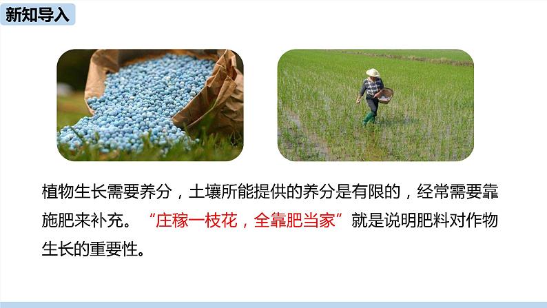人教版化学九年级下册 11.2 化学肥料(PPT课件+素材)05