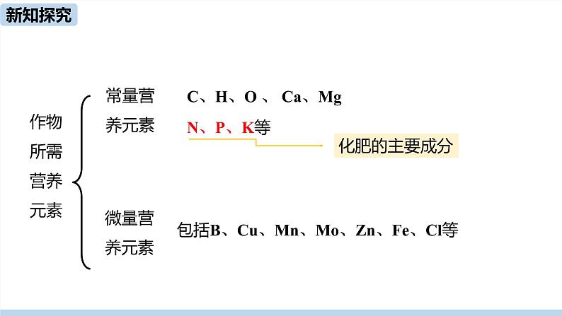 人教版化学九年级下册 11.2 化学肥料(PPT课件+素材)07