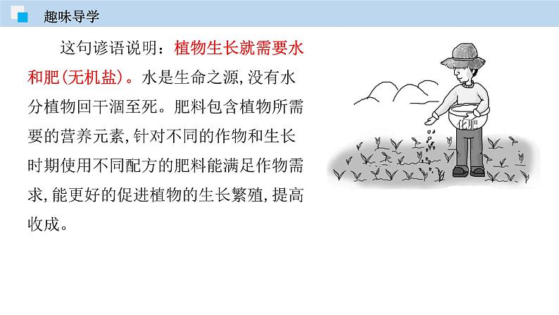 课题11.2 化学肥料(课件) 2020-2021学年人教版九年级化学下册同步精品课堂(共41张PPT)07