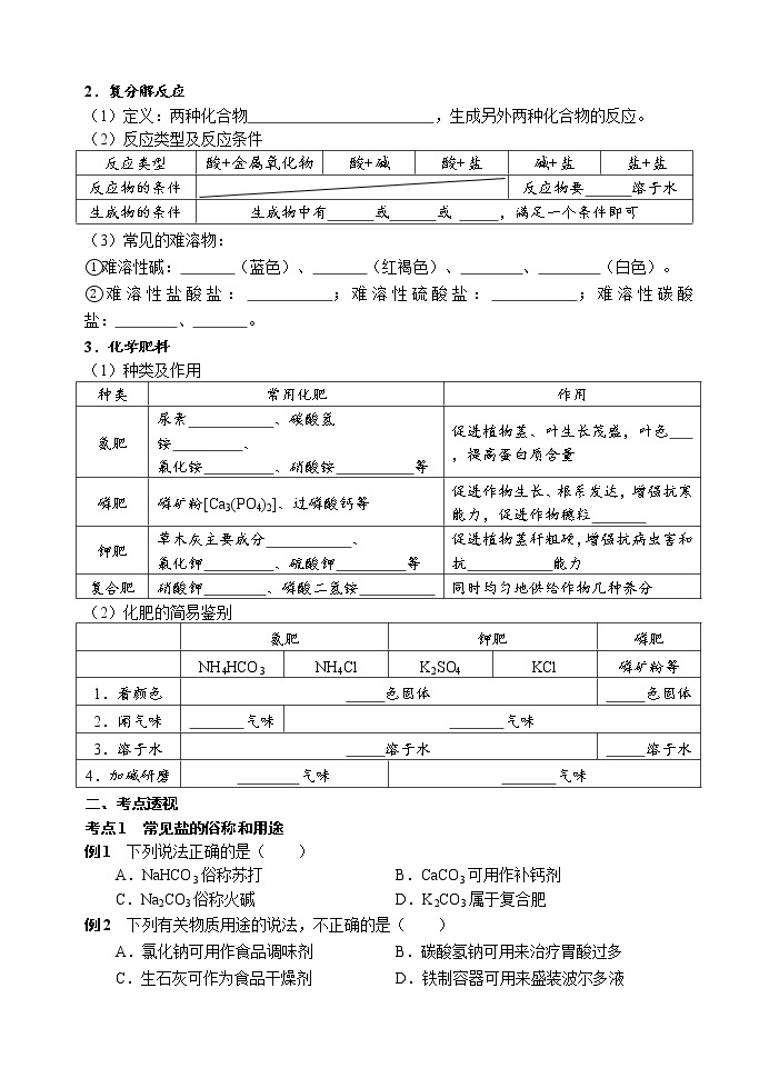 常见的盐和化肥 考点测试 2021年中考化学专题复习02