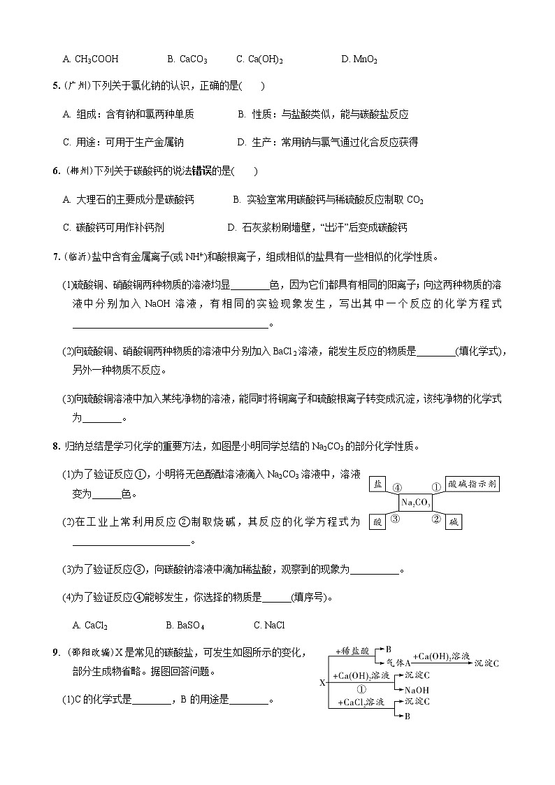 第11章 盐和化肥 满分必练 2021年中考化学一轮复习 (机构用)03