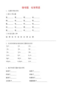 2021年春人教版九年级化学中考第一轮知识点过关训练   化学用语